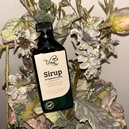 Domaći med pčelarstvo Lučić